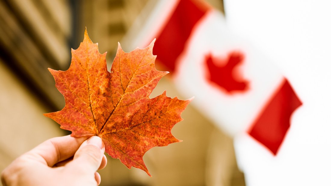 A vibrant orange maple leaf held against the backdrop of the Canadian flag, symbolizing Canada.
